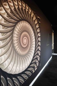 Nautilus-decoratie